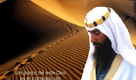 Misión