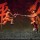 El Ki y Las Artes Marciales