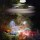La Experiencia Astral, Mito o Realidad.