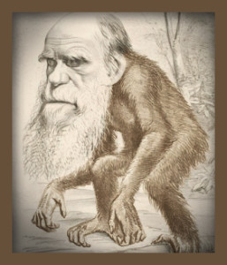 darwin-simio