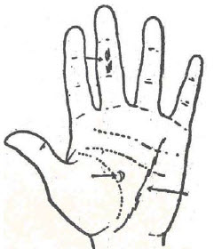 49-digestion-dificil