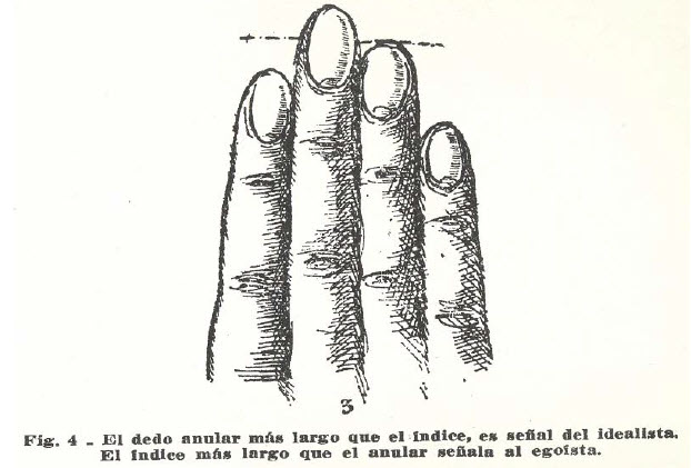 dedo-anular-normal