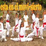 saludo entrada artes marciales tao