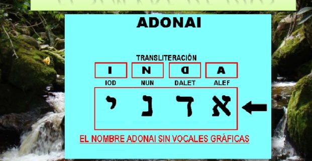 Los Veneficios del Sinvre