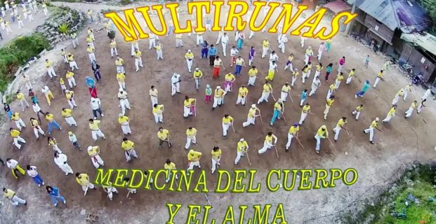 Indikaseles de las Multirunas