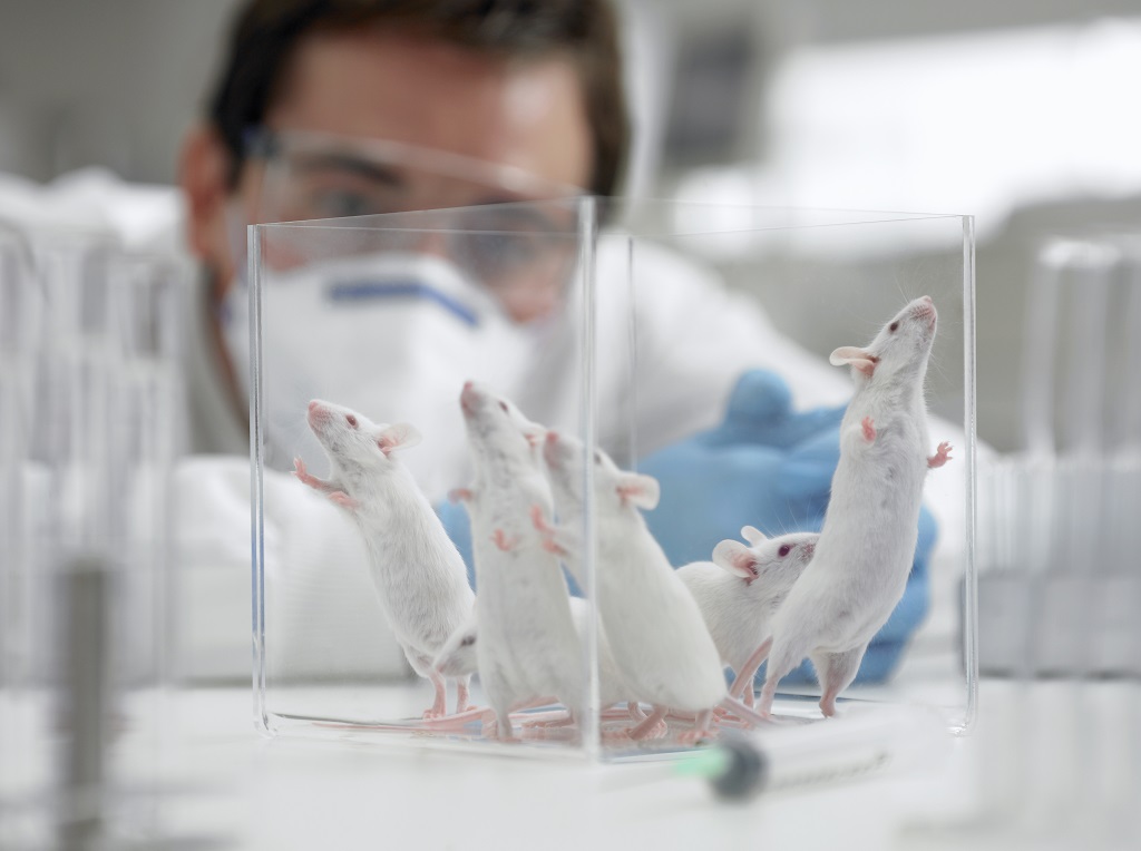Larga Historia de Abuso a Animales Vivos en Pro de la Ciencia