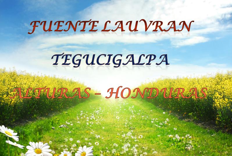 Fuente LAUVRAN – Tegucigalpa