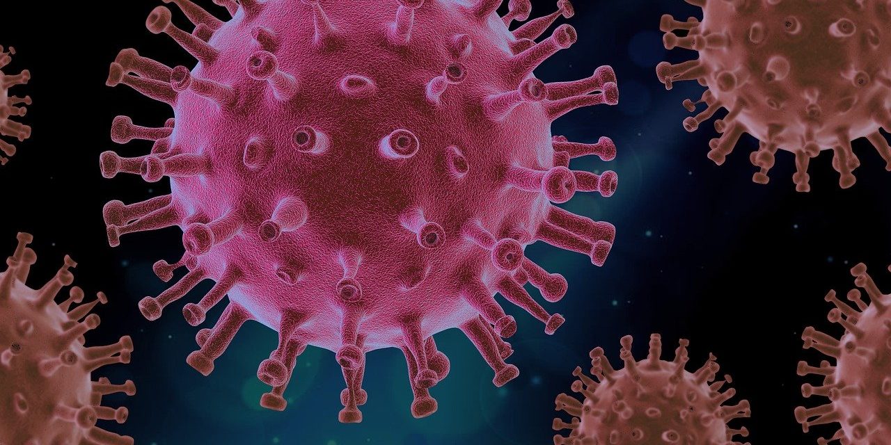 Cómo se puede modificar un Coronavirus para hacerlo letal