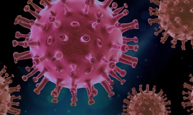 Cómo se puede modificar un Coronavirus para hacerlo letal