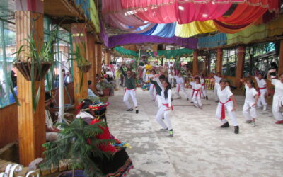 1er. Olimpiada Internacional Virtual de Artes Marciales TAO