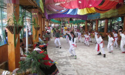 1er. Olimpiada Internacional Virtual de Artes Marciales TAO